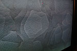 Plants: image 1 0f 4 thumb