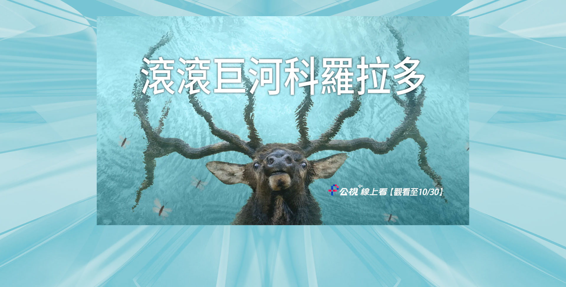 滾滾巨河科羅拉多