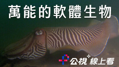 web resource image